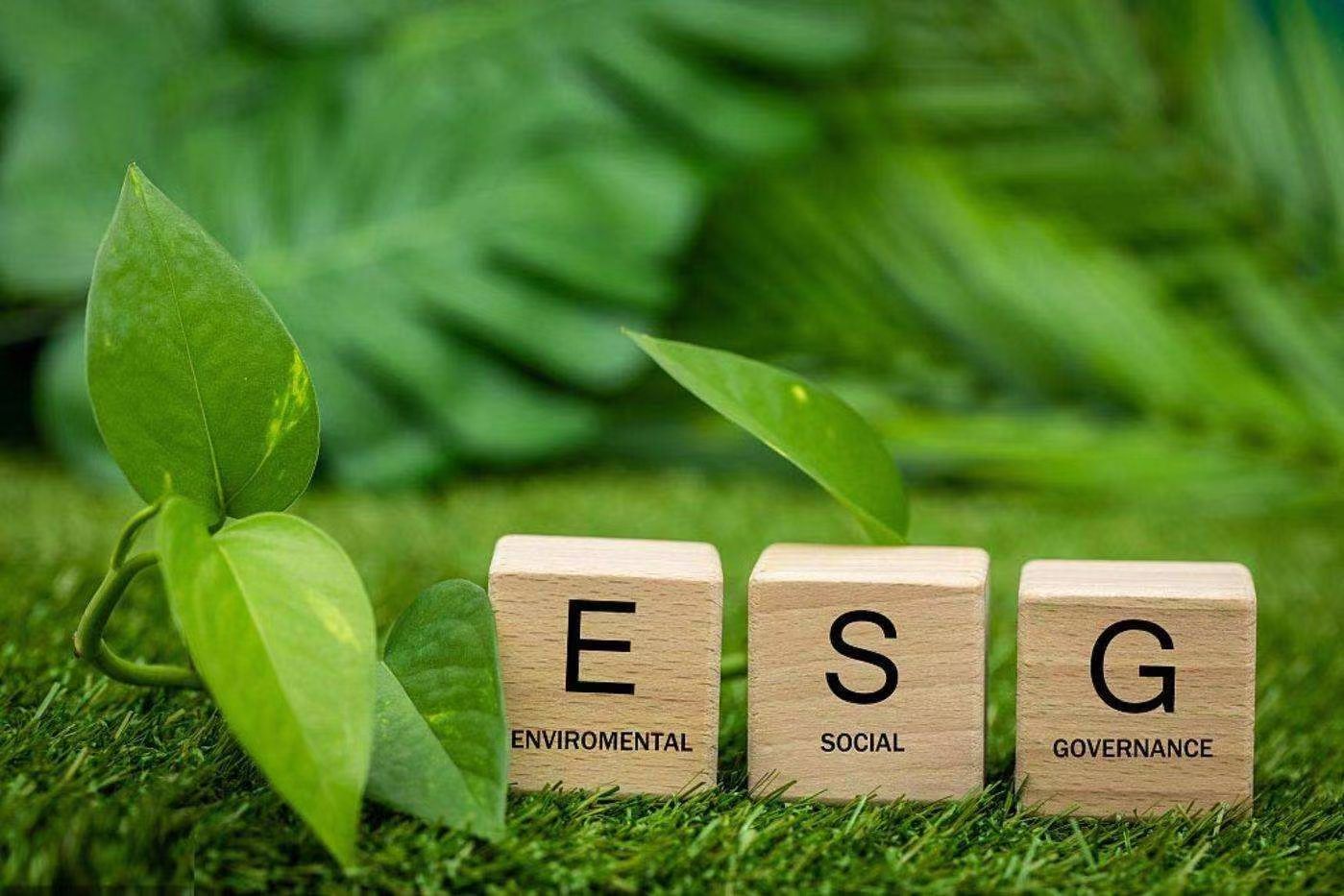 ESG环保合规报告